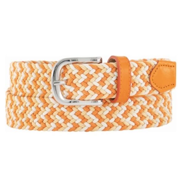 Braided Belt, Multicolor Oranje/Geel