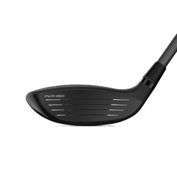 Dynapwr Carbon Fairway - Afbeelding 4