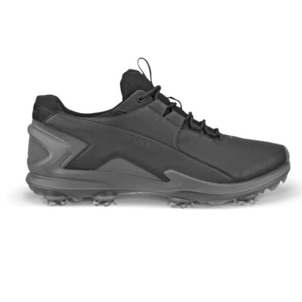 Biom Tour, Black